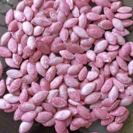 بذرهیبرید کدو