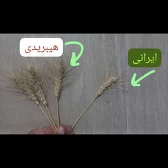 1721630447160.webp
