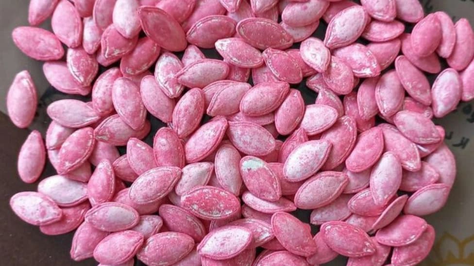 بذر کدو هیبریدی گلوبال