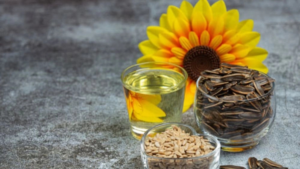 Khoi'de Abbaspur hibrit ayçiçeği tohumları Khoi'de Abbaspur hibrit ayçiçeği tohumları