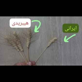 1721630447160.webp 1721630447160.webp